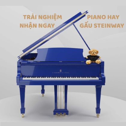 /news/trai-nghiem-piano-hay-nhan-ngay-gau-steinway