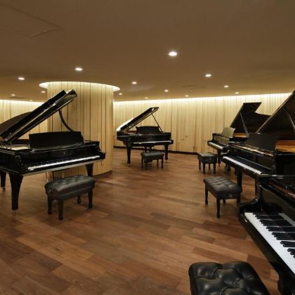 /news/top-5-dong-grand-piano-dang-mua-nhat-cua-steinway-and-sons