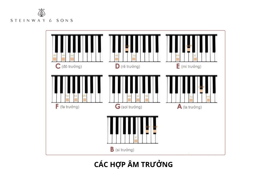 Các hợp âm trưởng