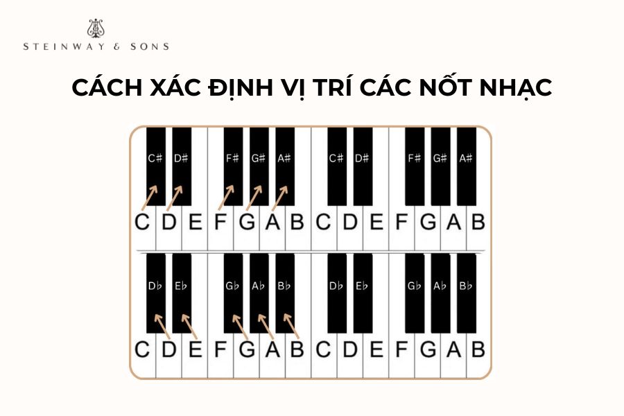 Cách xác định vị trí nốt nhạc trên piano