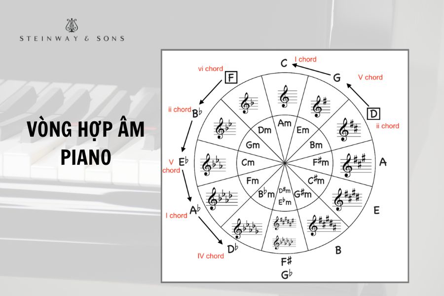 Vòng hợp âm piano cơ bẩn