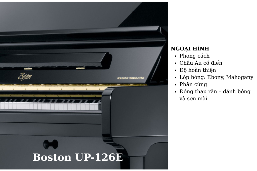 Boston up 126e có thiết kế tinh tế, phong cách châu âu