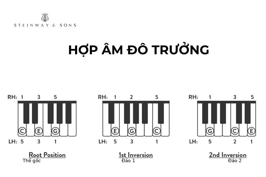 Cấu tạo hợp âm đô trưởng
