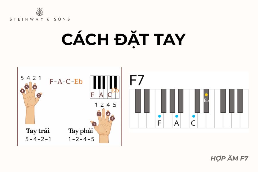 Cách bấm hợp âm f7 piano