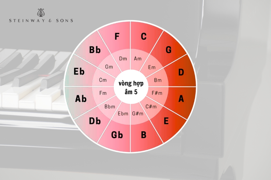 Vòng hợp âm Piano