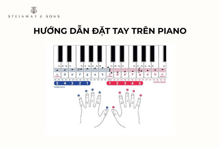 Hướng dẫn đặt tay trên đàn piano