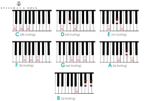 luyện hợp âm piano